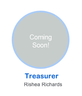 treasurer